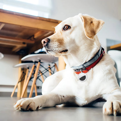 Mini traceur GPS - Localisateur GPS anti-perte pour clés et animaux